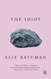 Cover von The Idiot
