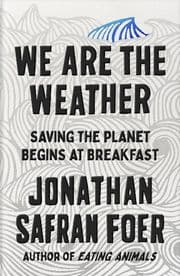 Cover von We are the Weather
