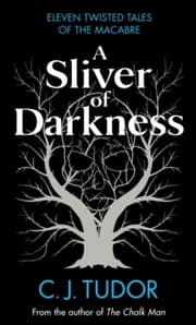 Cover von A Sliver of Darkness