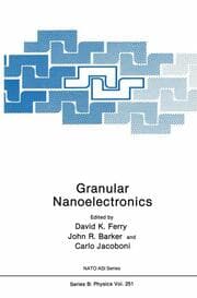Cover von Granular Nanoelectronics