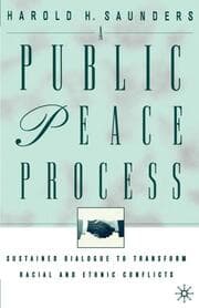 Cover von A Public Peace Process