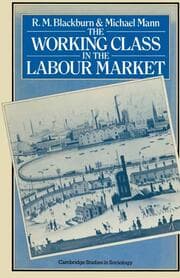 Cover von The Working Class in the Labour Market