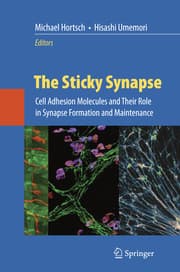 Cover von The Sticky Synapse