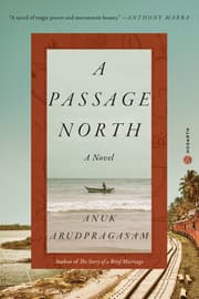 Cover von A Passage North