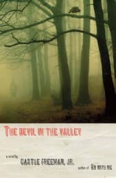 Cover von The Devil in the Valley