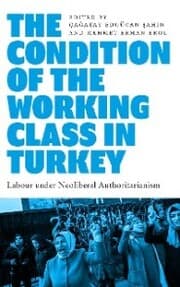 Cover von The Condition of the Working Class in Turkey
