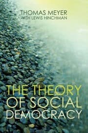 Cover von The Theory of Social Democracy