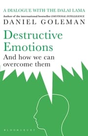 Cover von Destructive Emotions