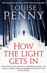 Cover von How The Light Gets In