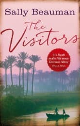 Cover von The Visitors
