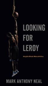 Cover von Looking for Leroy