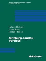 Cover von Ginzburg-Landau Vortices