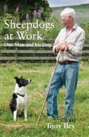 Cover von Sheepdogs at Work