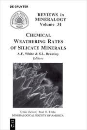 Cover von Chemical Weathering Rates of Silicate Minerals