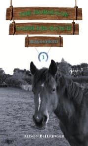 Cover von The Horses of Saddlers Ranch: Black Knight