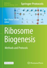 Cover von Ribosome Biogenesis