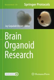 Cover von Brain Organoid Research