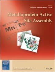 Cover von Metalloprotein Active Site Assembly