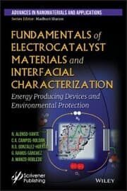 Cover von Fundamentals of Electrocatalyst Materials and Interfacial Characterization