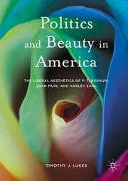 Cover von Politics and Beauty in America