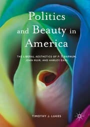 Cover von Politics and Beauty in America