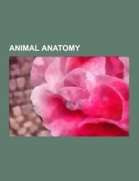 Cover von Animal anatomy