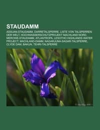 Cover von Staudamm