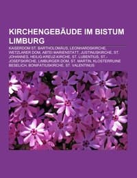 Cover von Kirchengebäude im Bistum Limburg