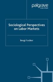 Cover von Sociological Perspectives on Labor Markets