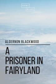 Cover von A Prisoner in Fairyland