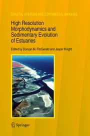Cover von High Resolution Morphodynamics and Sedimentary Evolution of Estuaries