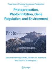 Cover von Photoprotection, Photoinhibition, Gene Regulation, and Environment