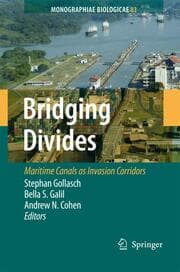 Cover von Bridging Divides