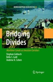 Cover von Bridging Divides