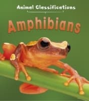 Cover von Amphibians