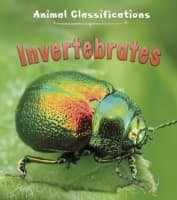 Cover von Invertebrates