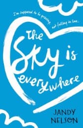 Cover von The Sky Is Everywhere