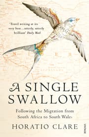 Cover von A Single Swallow