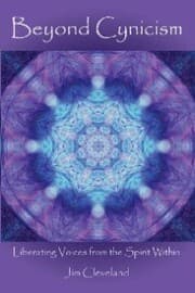 Cover von Beyond Cynicism