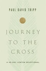 Cover von Journey to the Cross