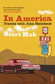 Cover von In America