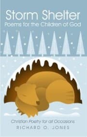 Cover von Storm Shelter Poems for the Children of God