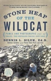 Cover von Stone Heap of the Wildcat