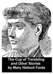 Cover von A Cup of Trembling and Other Stories