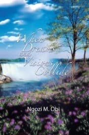 Cover von When Dreams and Visions Collide