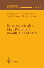 Cover von Structured Adaptive Mesh Refinement (SAMR) Grid Methods
