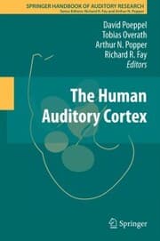 Cover von The Human Auditory Cortex