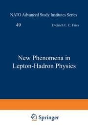 Cover von New Phenomena in Lepton-Hadron Physics