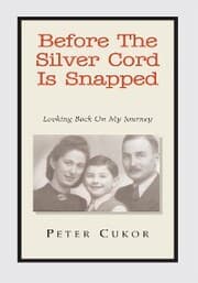 Cover von Before the Silver Cord Is Snapped
