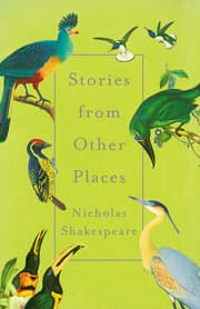 Cover von Stories from Other Places